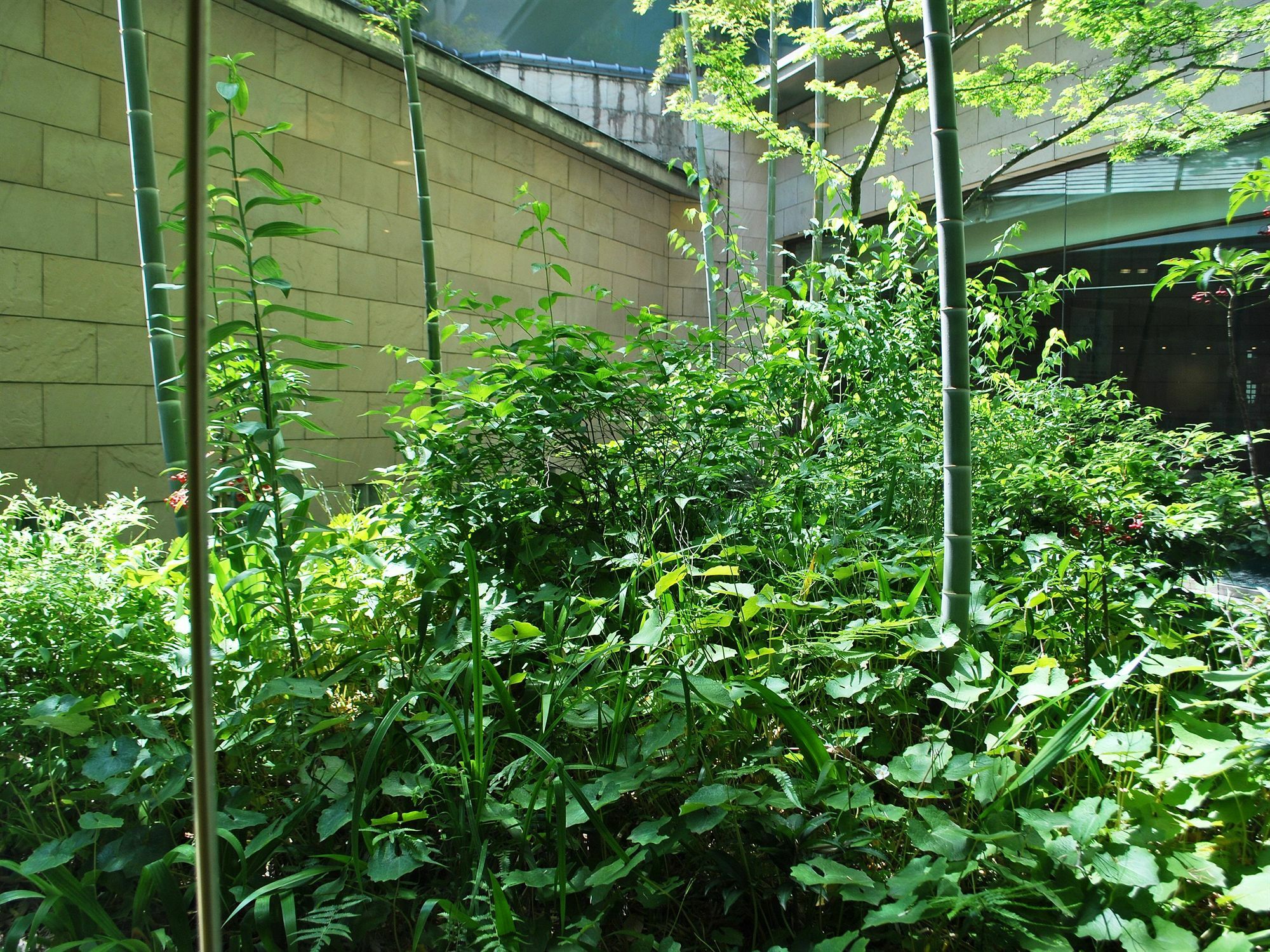 Ark Hotel Kumamotojo Mae -Route Inn Hotels- Exterior photo